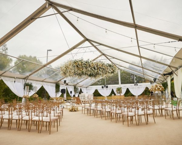 Clear Party Tent - 20' x 40'
