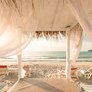 Draping Party Tent