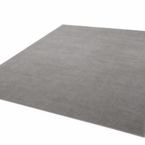 gray carpet